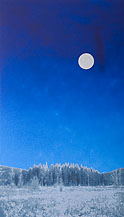© Bill Horne