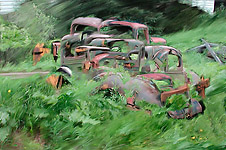 Previously Owned  © Bill Horne